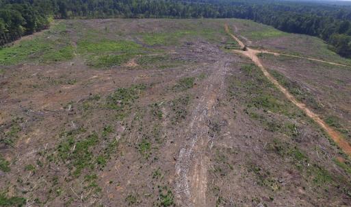 Photo of UNDER CONTRACT!  109 Acres of Recreational Hunting Land For Sale in Brunswick County VA!