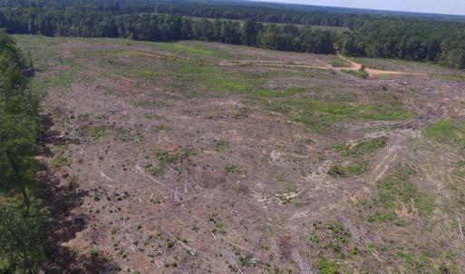 Photo of UNDER CONTRACT!  109 Acres of Recreational Hunting Land For Sale in Brunswick County VA!
