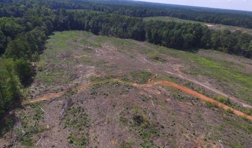 Photo of UNDER CONTRACT!  109 Acres of Recreational Hunting Land For Sale in Brunswick County VA!