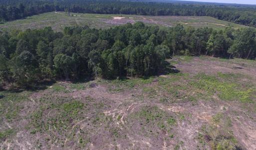 Photo of UNDER CONTRACT!  109 Acres of Recreational Hunting Land For Sale in Brunswick County VA!