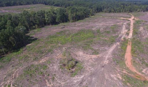 Photo of UNDER CONTRACT!  109 Acres of Recreational Hunting Land For Sale in Brunswick County VA!