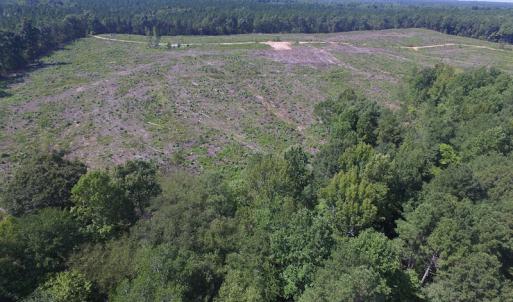 Photo of UNDER CONTRACT!  109 Acres of Recreational Hunting Land For Sale in Brunswick County VA!