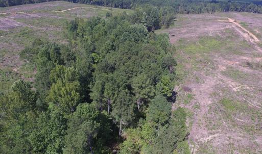 Photo of UNDER CONTRACT!  109 Acres of Recreational Hunting Land For Sale in Brunswick County VA!