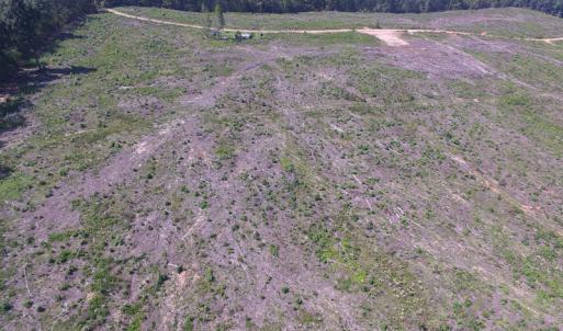 Photo of UNDER CONTRACT!  109 Acres of Recreational Hunting Land For Sale in Brunswick County VA!