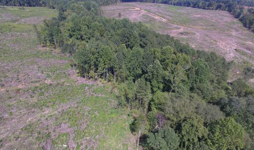 Photo of UNDER CONTRACT!  109 Acres of Recreational Hunting Land For Sale in Brunswick County VA!