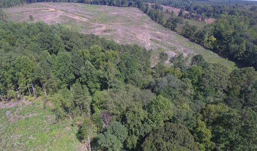 Photo of UNDER CONTRACT!  109 Acres of Recreational Hunting Land For Sale in Brunswick County VA!