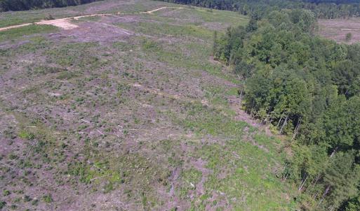 Photo of UNDER CONTRACT!  109 Acres of Recreational Hunting Land For Sale in Brunswick County VA!