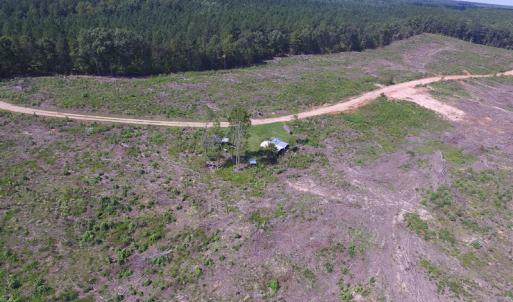 Photo of UNDER CONTRACT!  109 Acres of Recreational Hunting Land For Sale in Brunswick County VA!