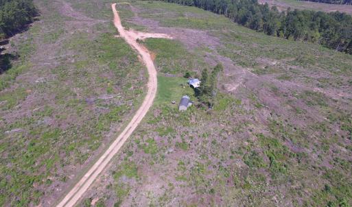 Photo of UNDER CONTRACT!  109 Acres of Recreational Hunting Land For Sale in Brunswick County VA!