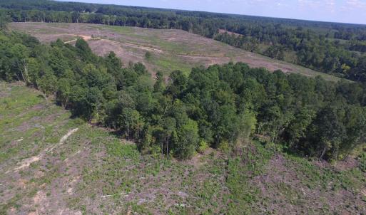 Photo of UNDER CONTRACT!  109 Acres of Recreational Hunting Land For Sale in Brunswick County VA!