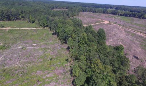 Photo of UNDER CONTRACT!  109 Acres of Recreational Hunting Land For Sale in Brunswick County VA!