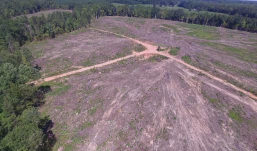 Photo of UNDER CONTRACT!  109 Acres of Recreational Hunting Land For Sale in Brunswick County VA!
