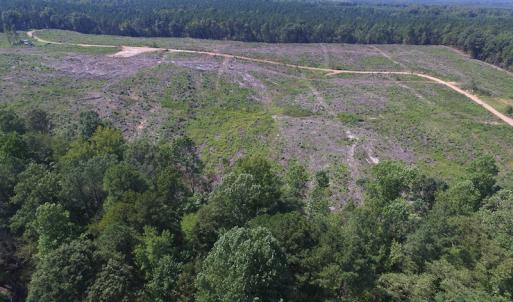 Photo of UNDER CONTRACT!  109 Acres of Recreational Hunting Land For Sale in Brunswick County VA!