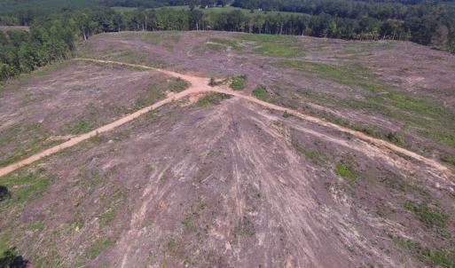 Photo of UNDER CONTRACT!  109 Acres of Recreational Hunting Land For Sale in Brunswick County VA!