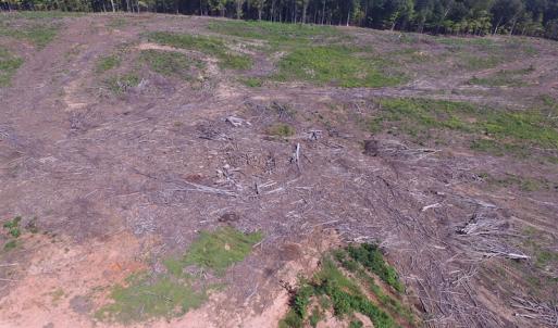 Photo of UNDER CONTRACT!  109 Acres of Recreational Hunting Land For Sale in Brunswick County VA!