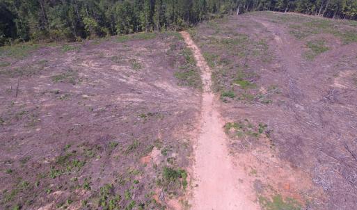 Photo of UNDER CONTRACT!  109 Acres of Recreational Hunting Land For Sale in Brunswick County VA!