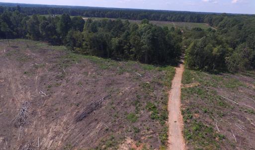 Photo of UNDER CONTRACT!  109 Acres of Recreational Hunting Land For Sale in Brunswick County VA!