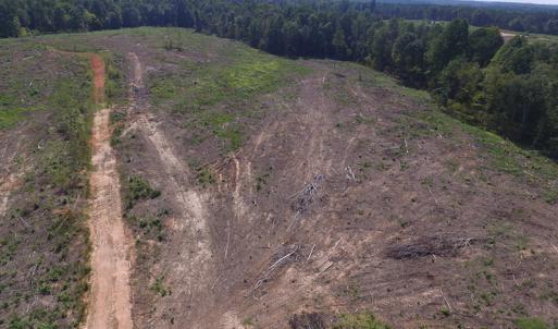 Photo of UNDER CONTRACT!  109 Acres of Recreational Hunting Land For Sale in Brunswick County VA!