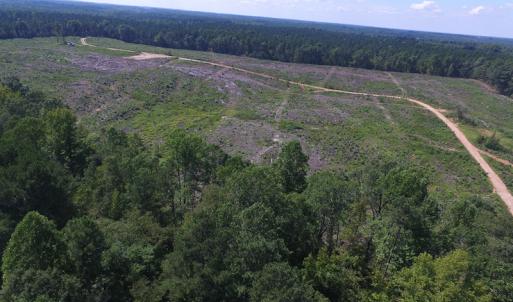 Photo of UNDER CONTRACT!  109 Acres of Recreational Hunting Land For Sale in Brunswick County VA!