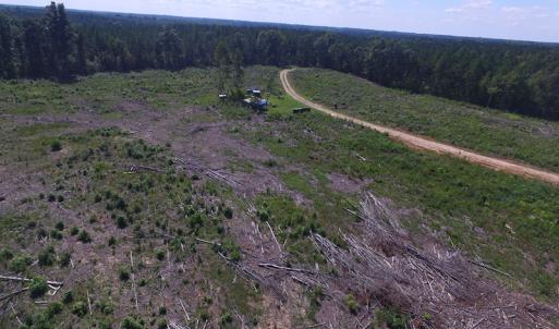 Photo of UNDER CONTRACT!  109 Acres of Recreational Hunting Land For Sale in Brunswick County VA!