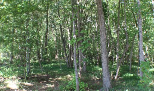 Photo of UNDER CONTRACT!  109 Acres of Recreational Hunting Land For Sale in Brunswick County VA!