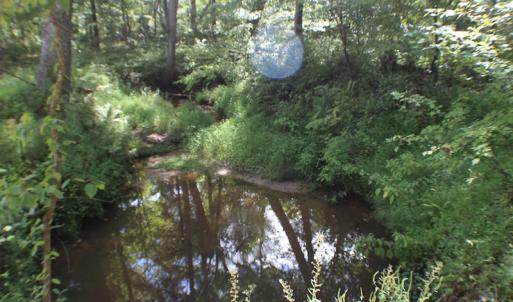 Photo of UNDER CONTRACT!  109 Acres of Recreational Hunting Land For Sale in Brunswick County VA!