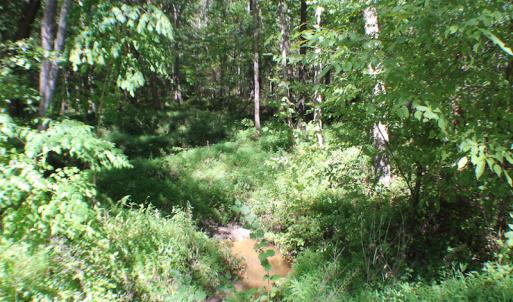 Photo of UNDER CONTRACT!  109 Acres of Recreational Hunting Land For Sale in Brunswick County VA!