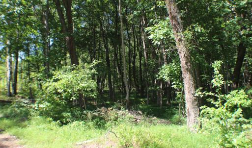 Photo of UNDER CONTRACT!  109 Acres of Recreational Hunting Land For Sale in Brunswick County VA!