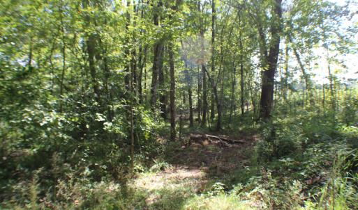 Photo of UNDER CONTRACT!  109 Acres of Recreational Hunting Land For Sale in Brunswick County VA!
