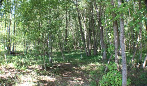 Photo of UNDER CONTRACT!  109 Acres of Recreational Hunting Land For Sale in Brunswick County VA!