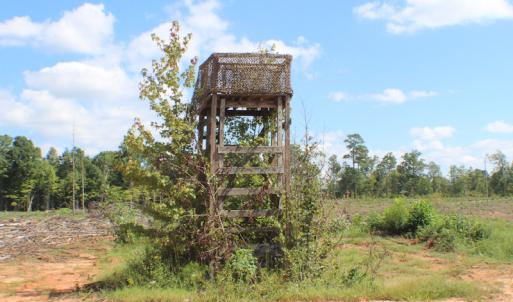 Photo of UNDER CONTRACT!  109 Acres of Recreational Hunting Land For Sale in Brunswick County VA!