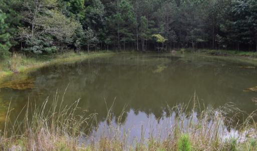 Photo of UNDER CONTRACT!  16 Acres of Hunting Land For Sale in Accomack County VA!