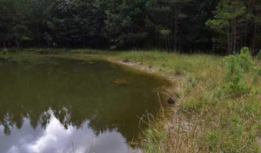 Photo of UNDER CONTRACT!  16 Acres of Hunting Land For Sale in Accomack County VA!