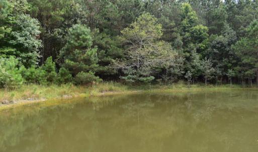 Photo of UNDER CONTRACT!  16 Acres of Hunting Land For Sale in Accomack County VA!