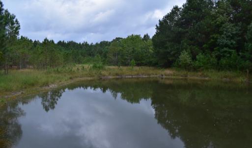 Photo of UNDER CONTRACT!  16 Acres of Hunting Land For Sale in Accomack County VA!
