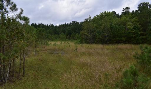 Photo of UNDER CONTRACT!  16 Acres of Hunting Land For Sale in Accomack County VA!