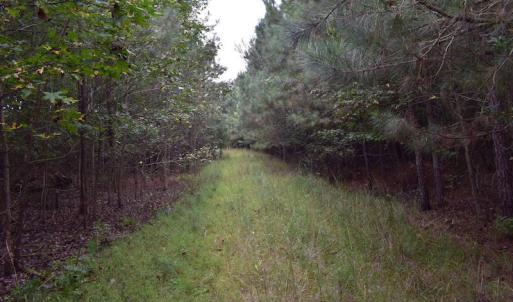 Photo of UNDER CONTRACT!  16 Acres of Hunting Land For Sale in Accomack County VA!