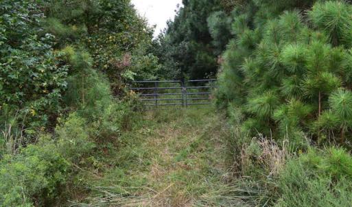 Photo of UNDER CONTRACT!  16 Acres of Hunting Land For Sale in Accomack County VA!