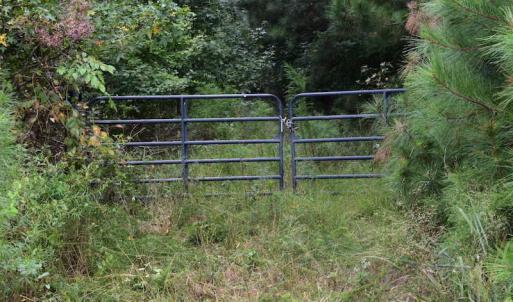 Photo of UNDER CONTRACT!  16 Acres of Hunting Land For Sale in Accomack County VA!