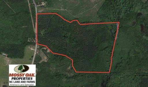 Photo of UNDER CONTRACT!  104 Acres of Timber Land For Sale in Franklin County NC!