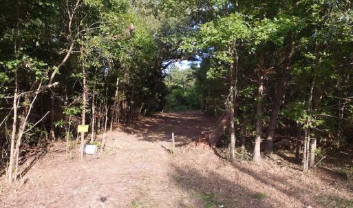 Photo of UNDER CONTRACT!  104 Acres of Timber Land For Sale in Franklin County NC!