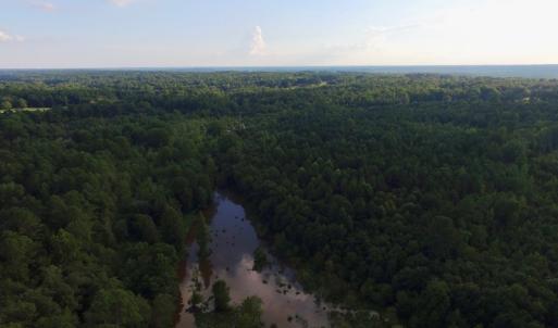 Photo of UNDER CONTRACT!  104 Acres of Timber Land For Sale in Franklin County NC!