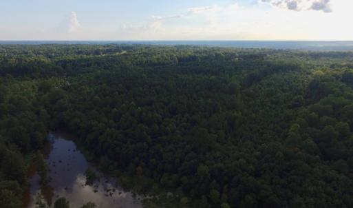 Photo of UNDER CONTRACT!  104 Acres of Timber Land For Sale in Franklin County NC!
