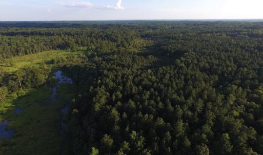Photo of UNDER CONTRACT!  104 Acres of Timber Land For Sale in Franklin County NC!