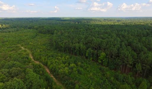 Photo of UNDER CONTRACT!  104 Acres of Timber Land For Sale in Franklin County NC!