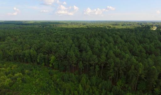 Photo of UNDER CONTRACT!  104 Acres of Timber Land For Sale in Franklin County NC!
