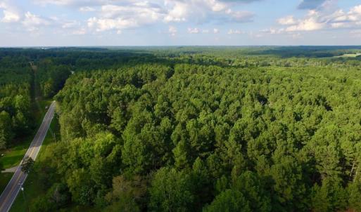 Photo of UNDER CONTRACT!  104 Acres of Timber Land For Sale in Franklin County NC!