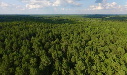 Photo of UNDER CONTRACT!  104 Acres of Timber Land For Sale in Franklin County NC!