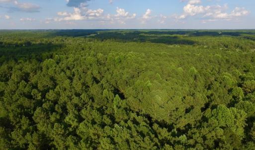 Photo of UNDER CONTRACT!  104 Acres of Timber Land For Sale in Franklin County NC!