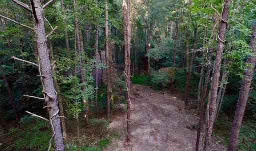Photo of UNDER CONTRACT!  104 Acres of Timber Land For Sale in Franklin County NC!